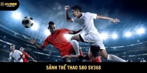 SBO SV368
