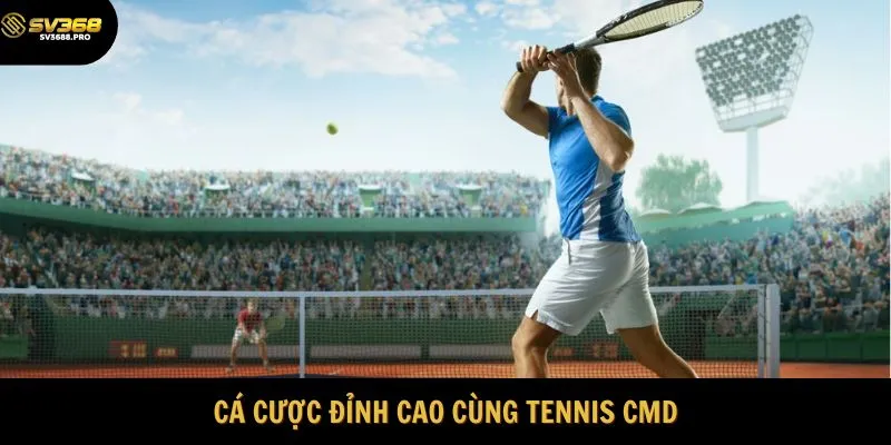 Cá cược đỉnh cao cùng Tennis CMD