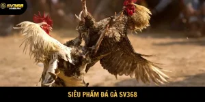 SV368