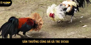 Đá Gà Tre