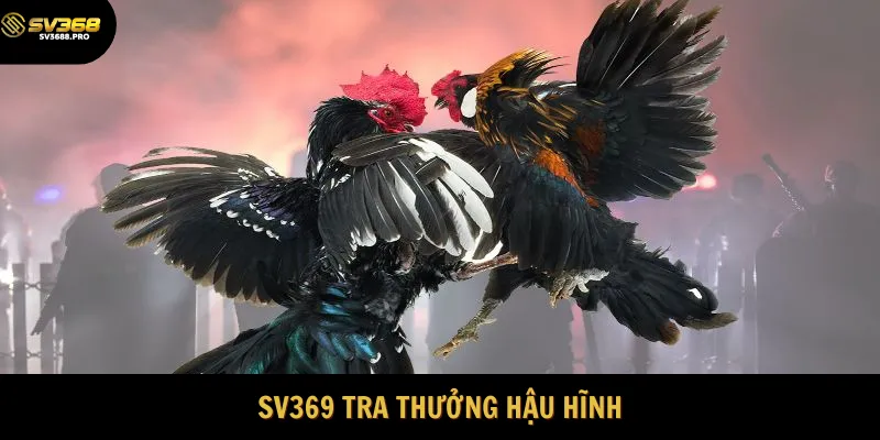 Nhà cái trả thưởng cực hậu hĩnh 