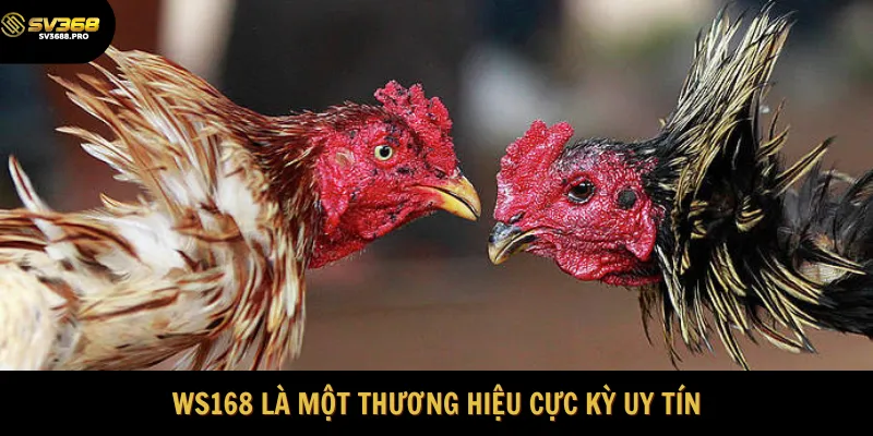 Công ty ws168 là một công ty hàng đầu 