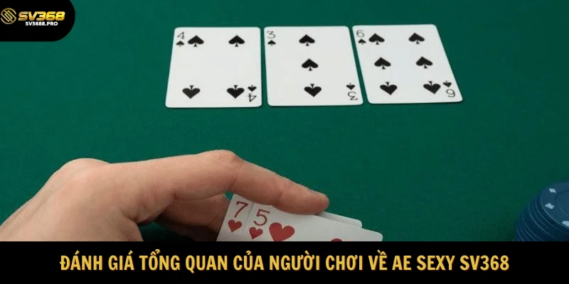 Đánh giá tổng quan của người chơi về AE Sexy SV368