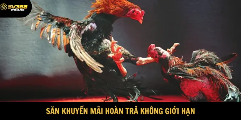 Săn khuyến mãi hoàn trả thả ga 
