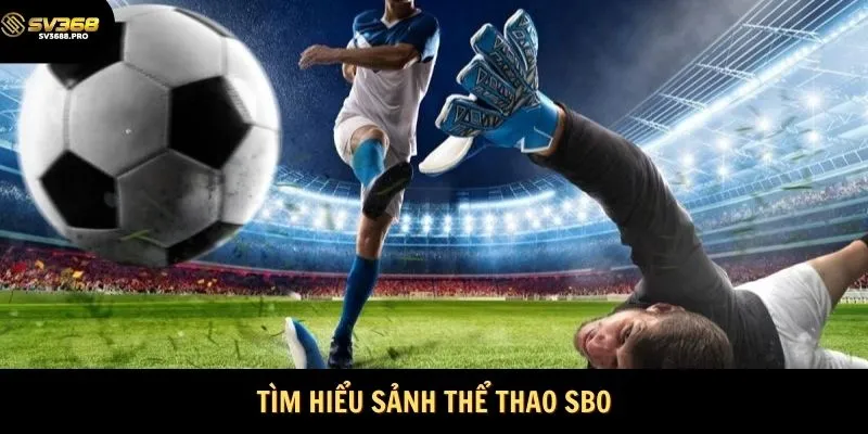 Sảnh thể thao SBO SV368