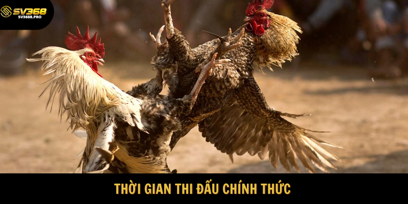 Mỗi trận đấu tối đa là 15 phút 